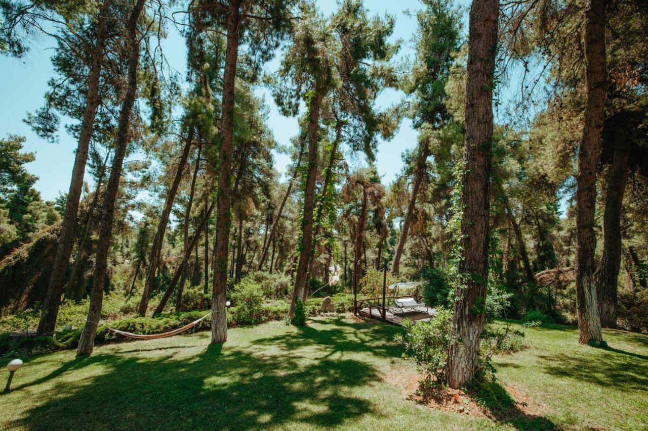 Beautiful Summerhouse In Sani'S Pine Forest Sani  Exterior photo